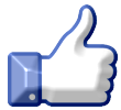 Black Pages Facebook Likes