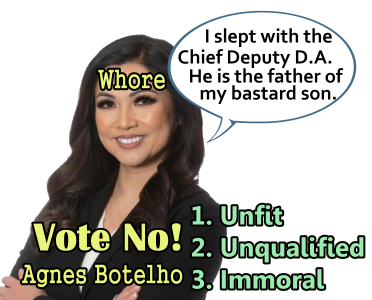 Agnes Botelho Las Vegas Judicial candidate