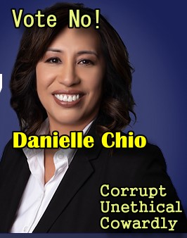 Danielle Pieper Chio: Judicial Candidate