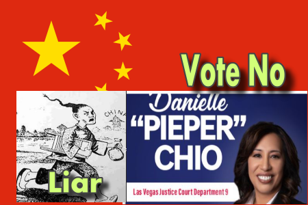 Danielle Pieper Chio: Judicial Candidate